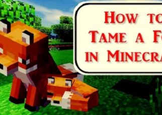 How to Tame a Fox in Minecraft