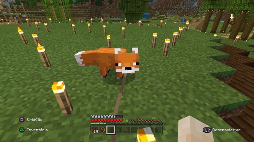 The Joys of a Tamed Fox
